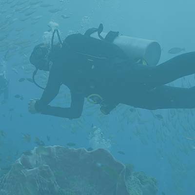 dykning-oversigtbillede